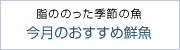 脂ののった季節の魚　今月のおすすめ鮮魚
